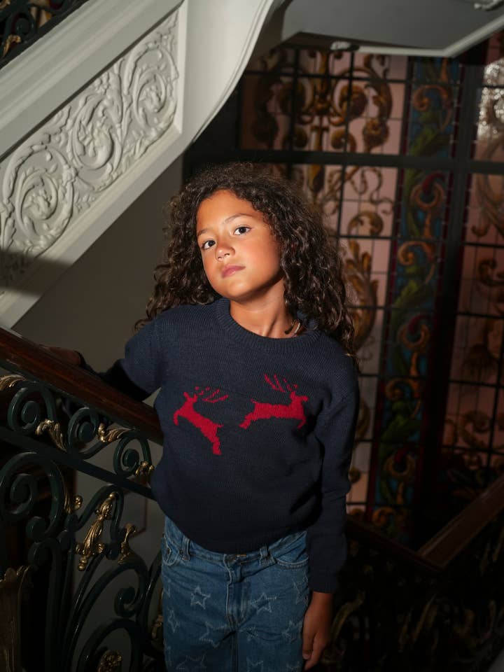 Reindeer Child Sweater for wholesale by GUIMANOS