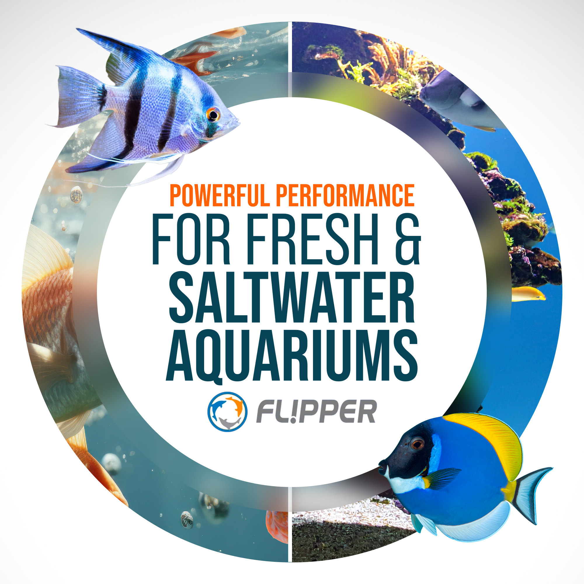 Flipper Aquarium Products - Wholesale Pet Grooming Aid - Dog - Flipper Cleaner Max Stainless Steel Replacement Blades - 2Pk6