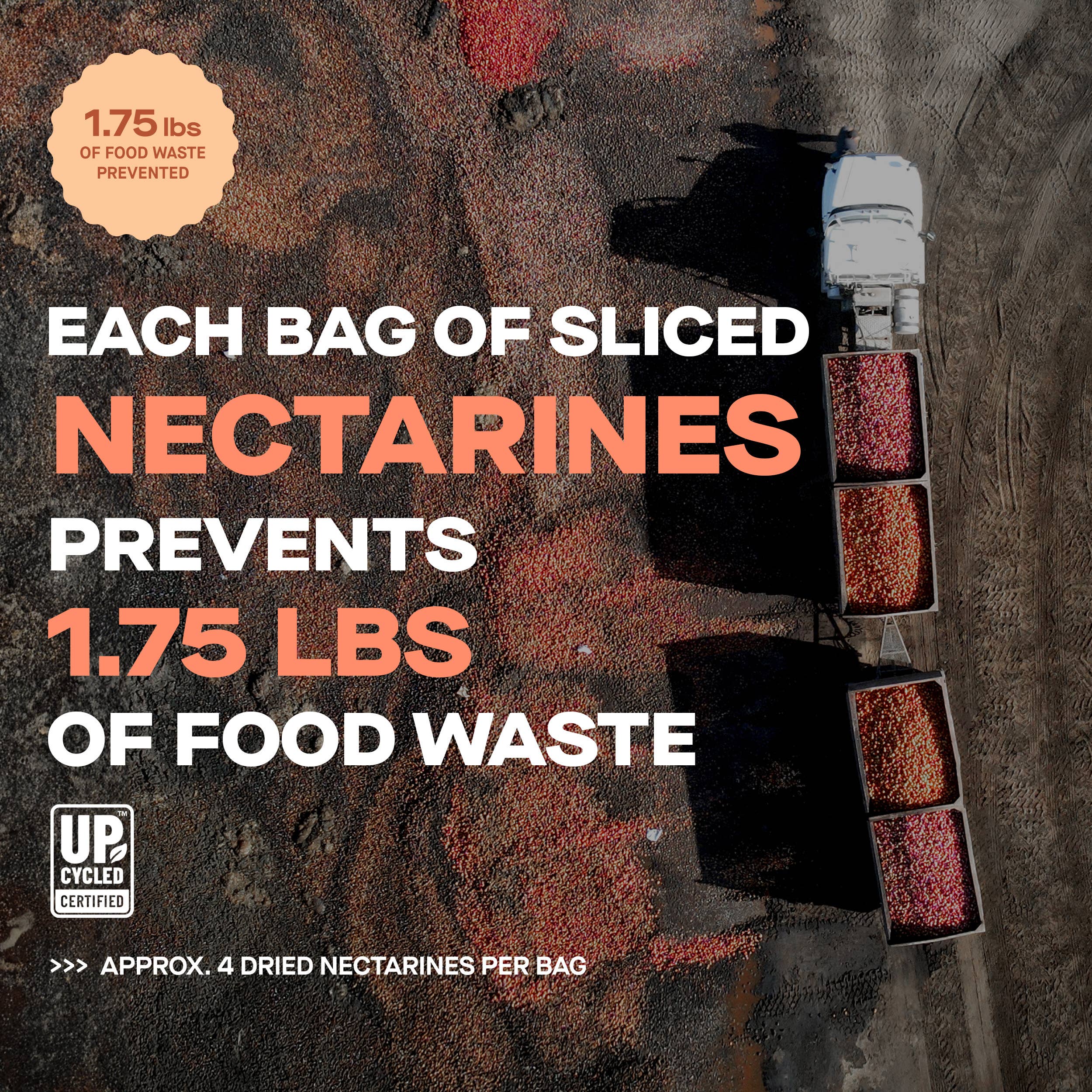 The Ugly Company - Wholesale Dried/Dehydrated Fruit - 3oz Dried & Sliced Nectarines3