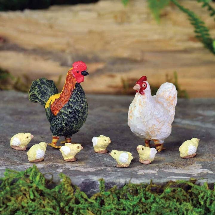 Gallo, gallina e 6 pulcini (giardino fatato in miniatura Fiddlehead) per la vendita all'ingrosso da parte di Fairygoodies