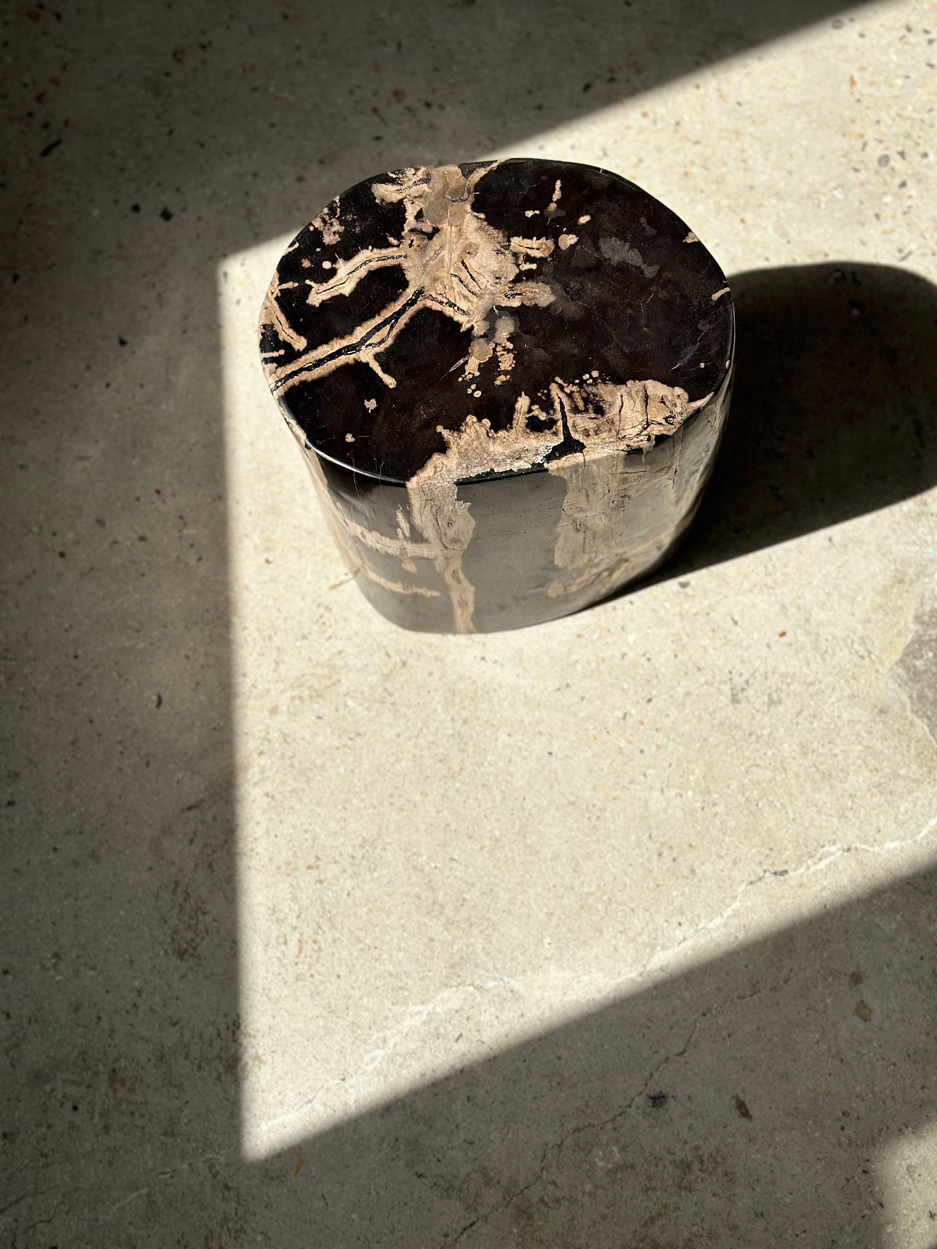 Office Objets - Vente Tables d'appoint - Table d'appoint en bois pétrifié1