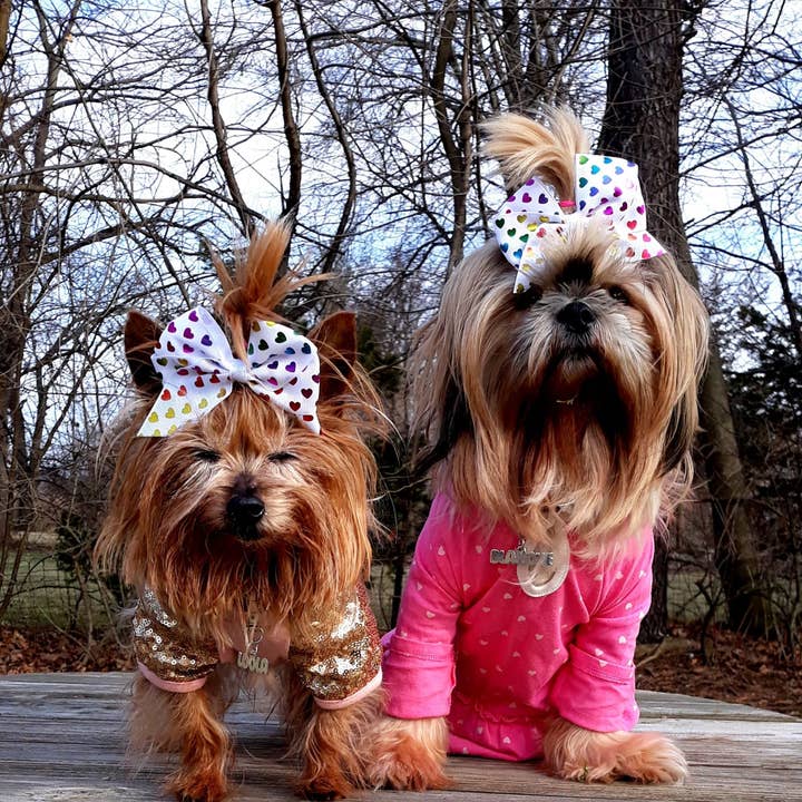 Tres Carmela - Wholesale Pet collar charm – Cat/dog - Personalized Dog or Cat Tag Pendant Sterling13