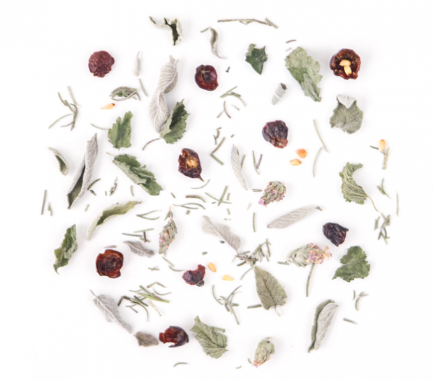 rhoeco - fine organic goods – Sacos de chá por atacado – Big Bags - 100 saquinhos de chá piramidais compostáveis em grande quantidade11