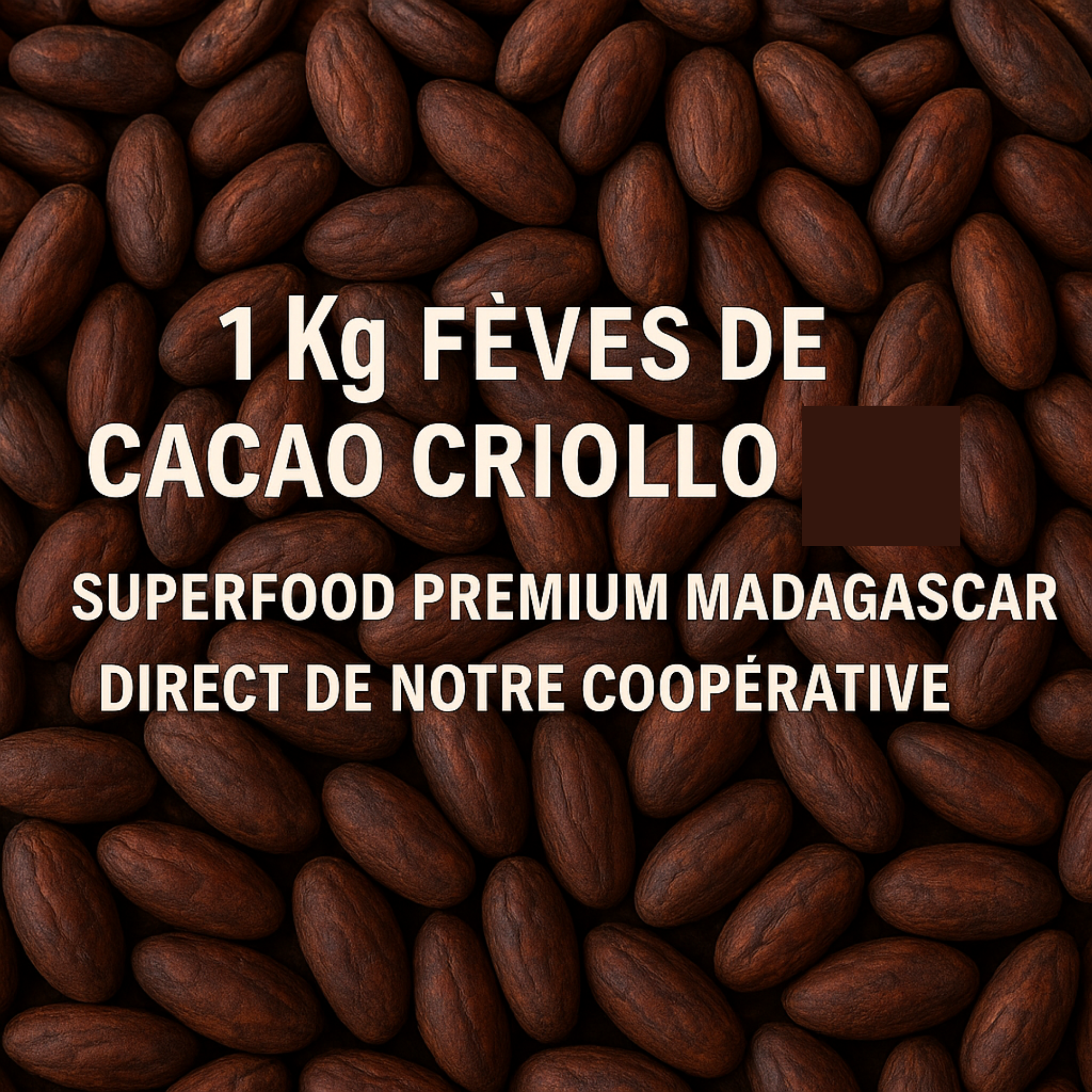 Comptoir Des Epices Madagascar – Großhandel Kakaonibs – ( 1 kg ) - Criollo-Kakaobohnen aus Madagaskar3