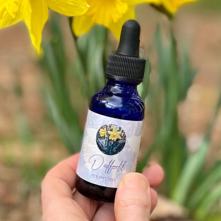 Narcis Flower Essence voor wholesale door Stenella Farms