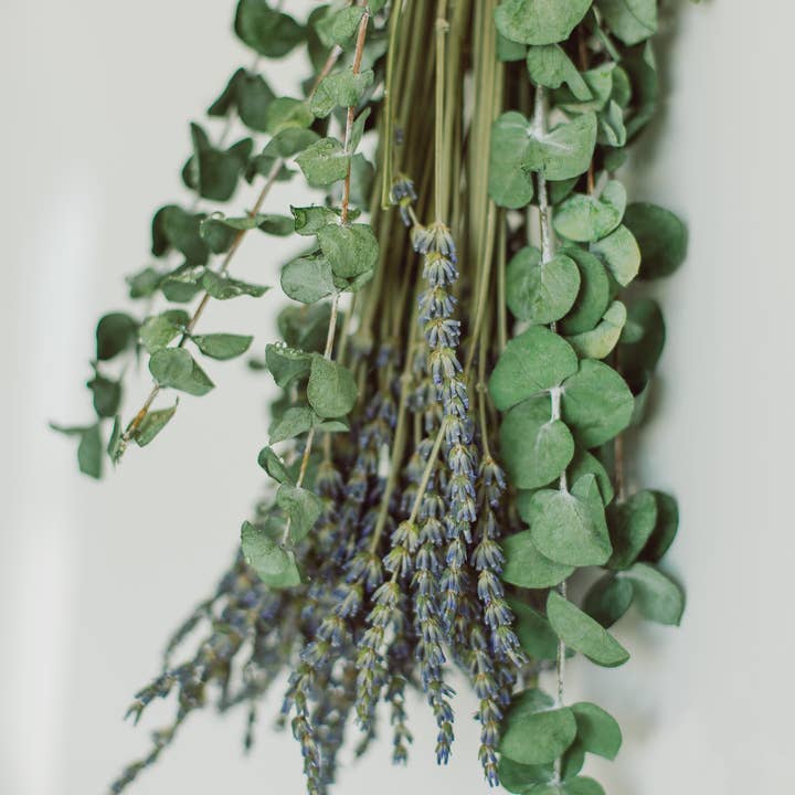 Eucalypt Co. - Wholesale Dried/Pressed Flowers - Eucalyptus + Lavender Shower Bundle