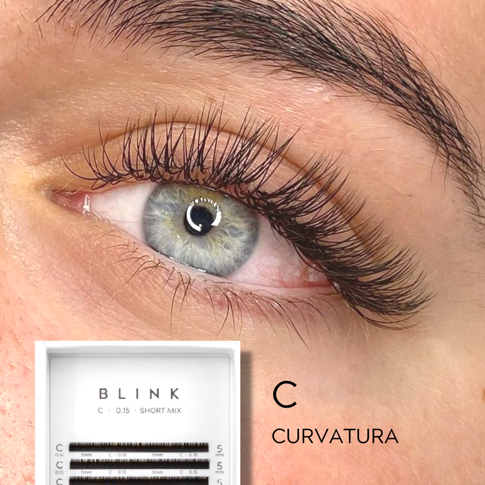 Blink Professional - Wholesale False/Fake Eyelashes - CLASSIC 1D LASHES2