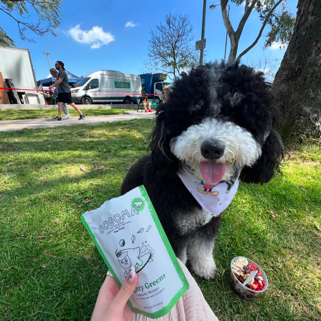 Gogoma - Wholesale Pet Treats - Dog - Spirulina + Coconut Whole Food Dog Treat for Immunity7