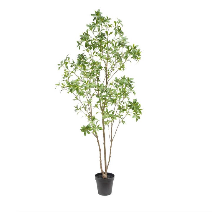 CG Hunter - Wholesale Artificial Plant - 7' Artificial Laurel Tree1