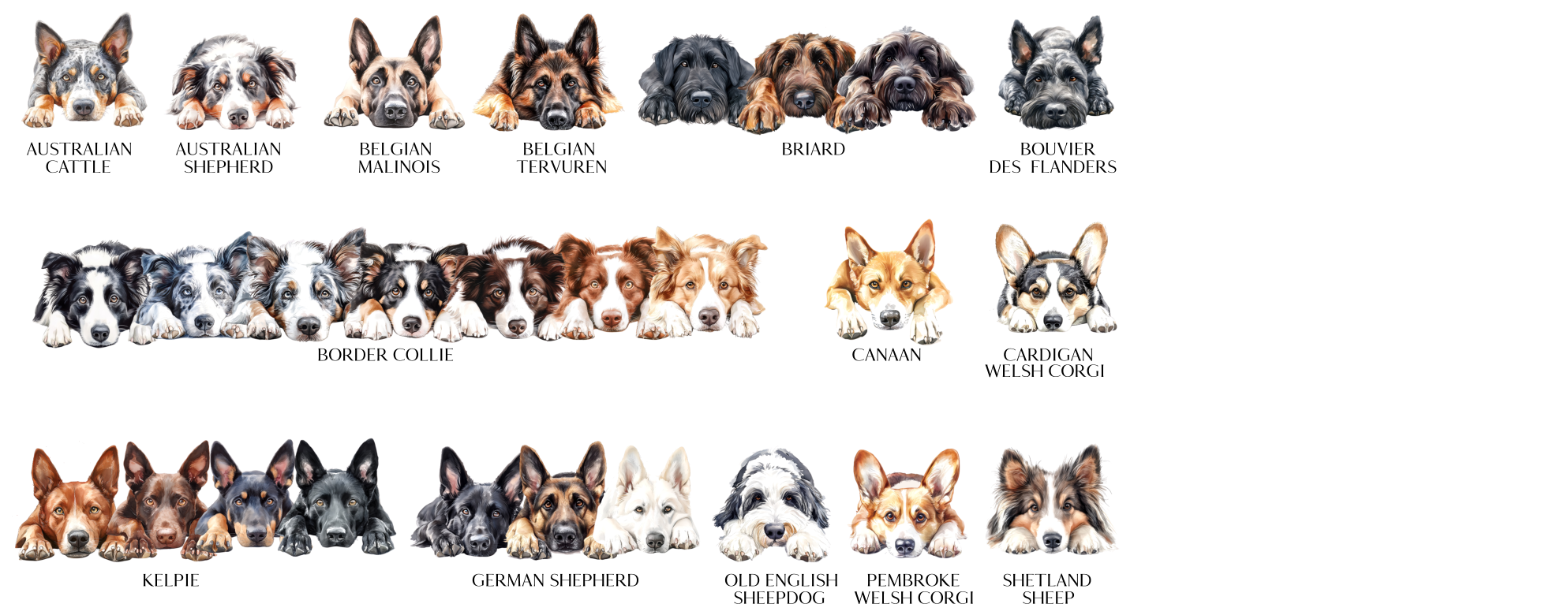 Storms Style – wholesale Tote bag – Unisex – Dog Tote Bag - 308 Designs 2