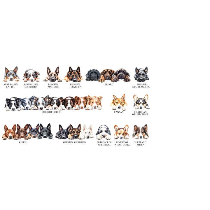 Storms Style – wholesale Tote bag – Unisex – Dog Tote Bag - 308 Designs 2