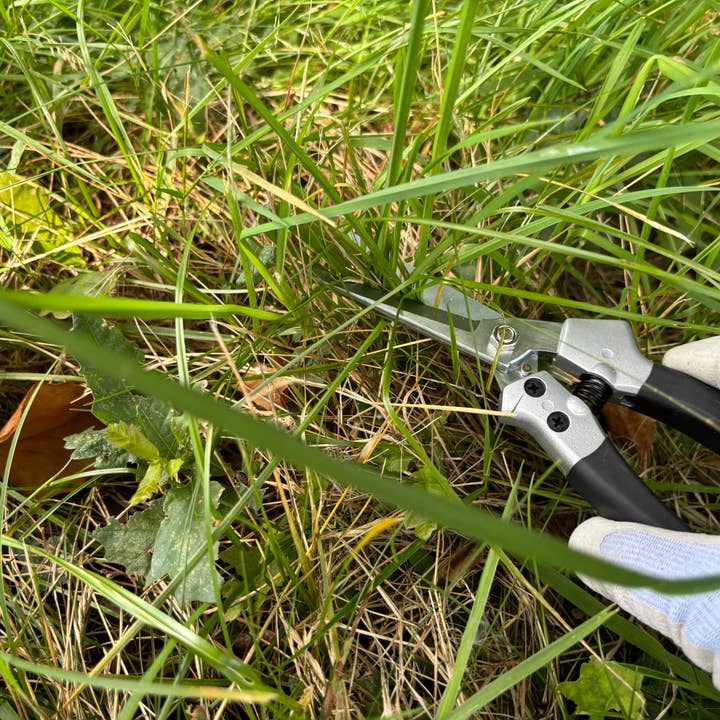 Gärtnertraum - Wholesale Garden Tool - Shrub shears - garden shears14