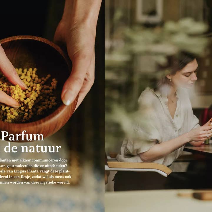 Uitgeverij Snor - Wholesale Home & Garden - Slower Living: inspiration, photography, and interviews6