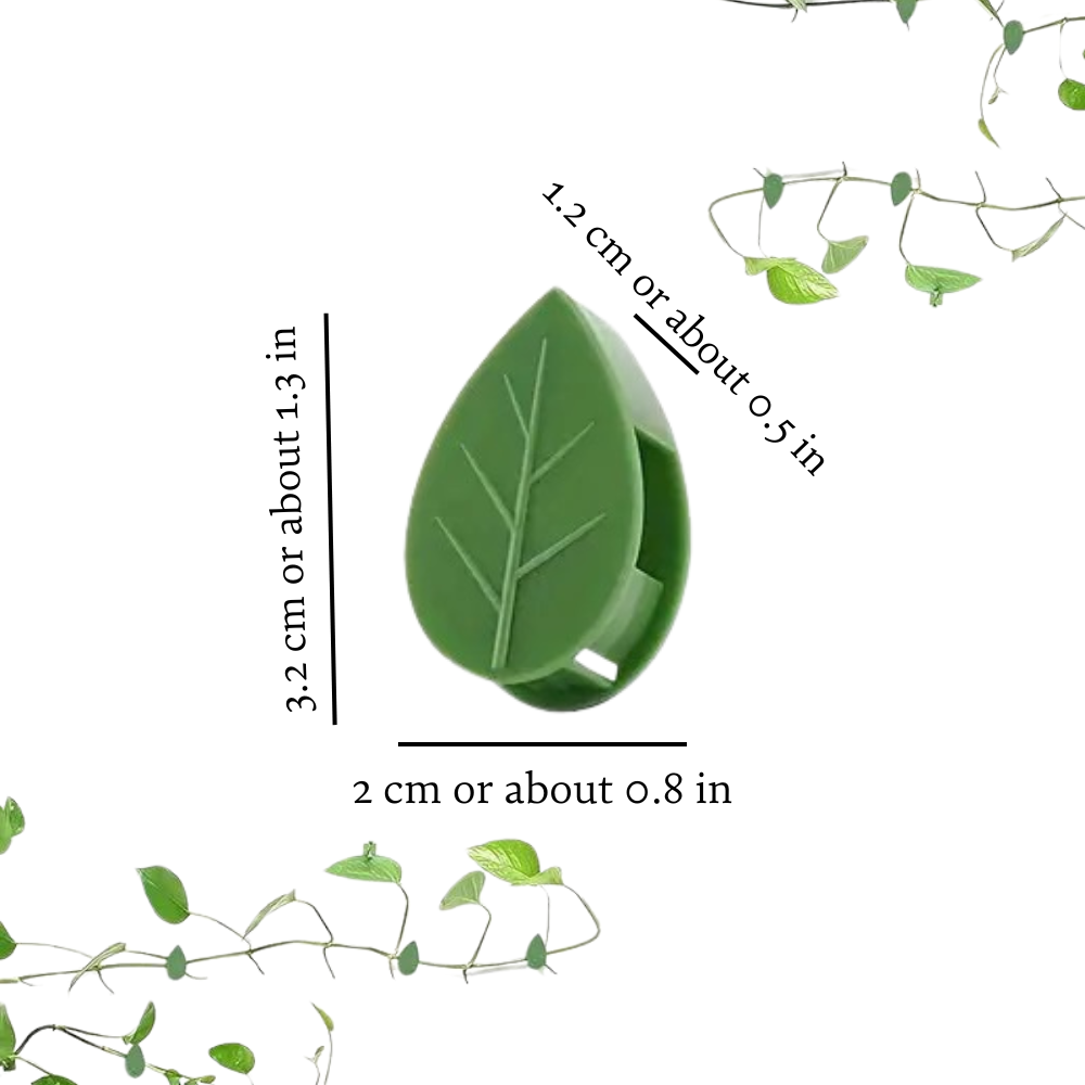 Moderny - Wholesale Wall Accent - Vine Plant Wall Clips7
