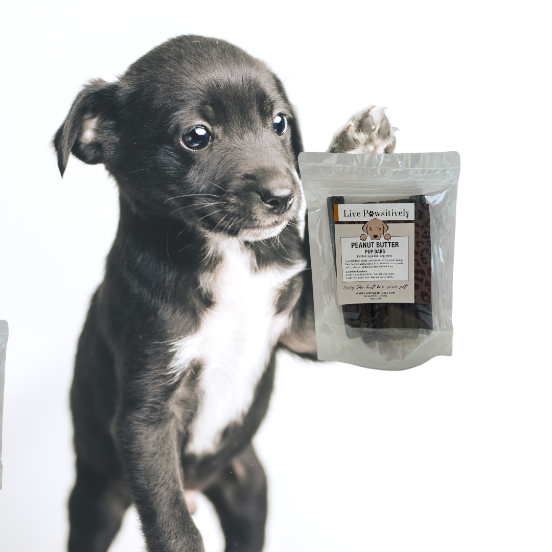 Live Pawsitive - Vente Friandises – chien - Barres à chiots au beurre de2