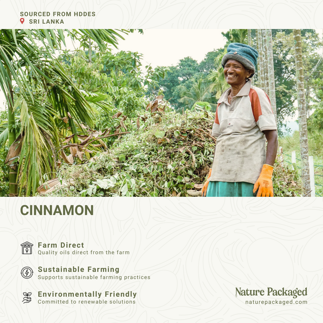 Nature Packaged – wholesale Eterisk olja – Kanel eterisk olja - 100% ren - Gård-Direct Sourcing10