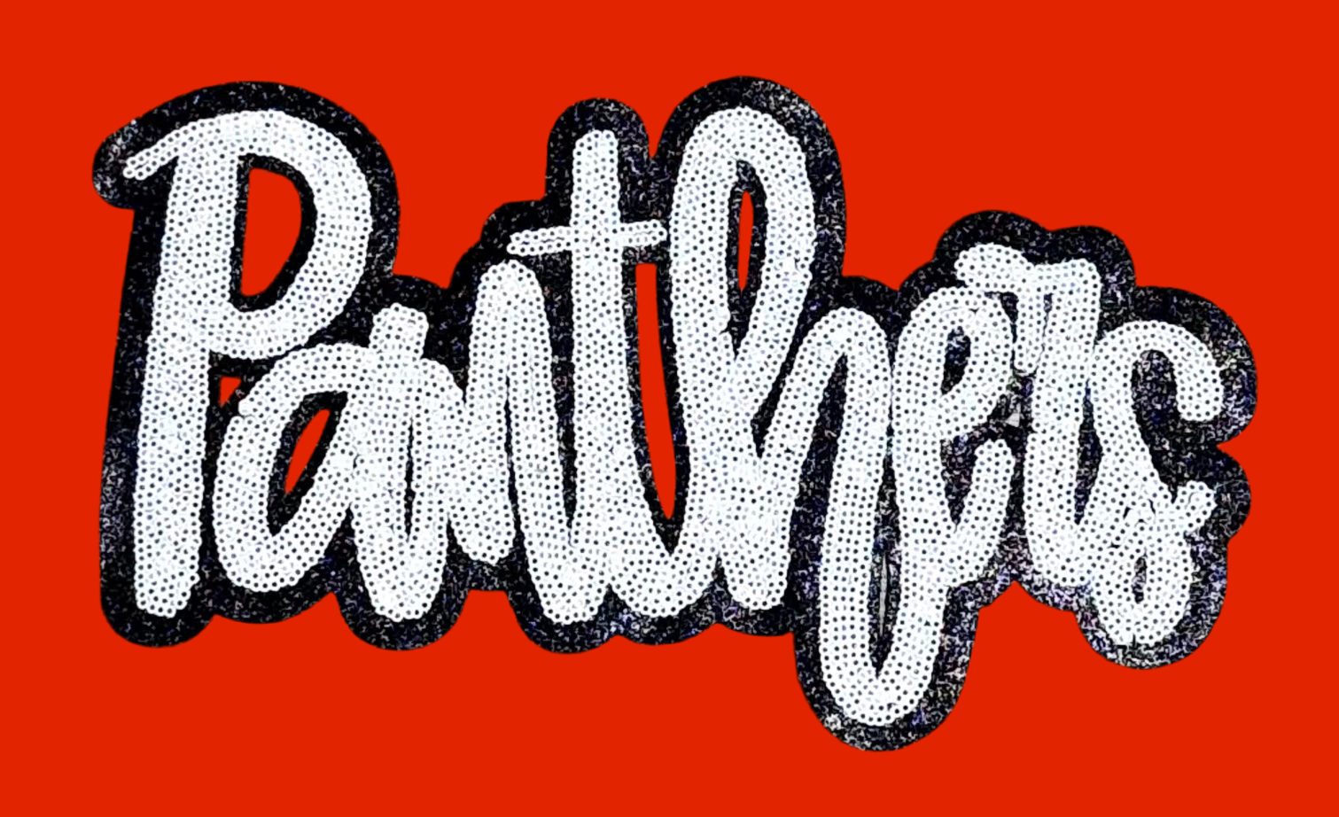 sequinandstiches - Wholesale Patch - Panthers  Patch, Sequin Patch, Football Patch, Panthers Game Day Sequin Patch,  DIY, Iron on Patch, Black glitter backing0