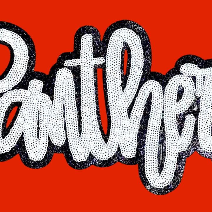 sequinandstiches - Wholesale Patch - Panthers Patch, Sequin Patch, Football Patch, Panthers Game Day Sequin Patch, DIY, Iron on Patch, Black glitter backing