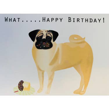 Studio Daedre - Wholesale Birthday Card - Birthday Pug Boxed Note Cards0
