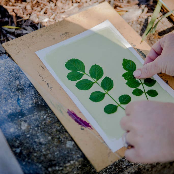 My Little Print Studio - Wholesale DIY Craft Kit - Cyanotype Printing Kit