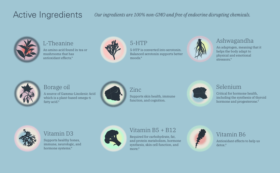 Looni - Wholesale Oral Supplement/Vitamin - Balance Beam 7