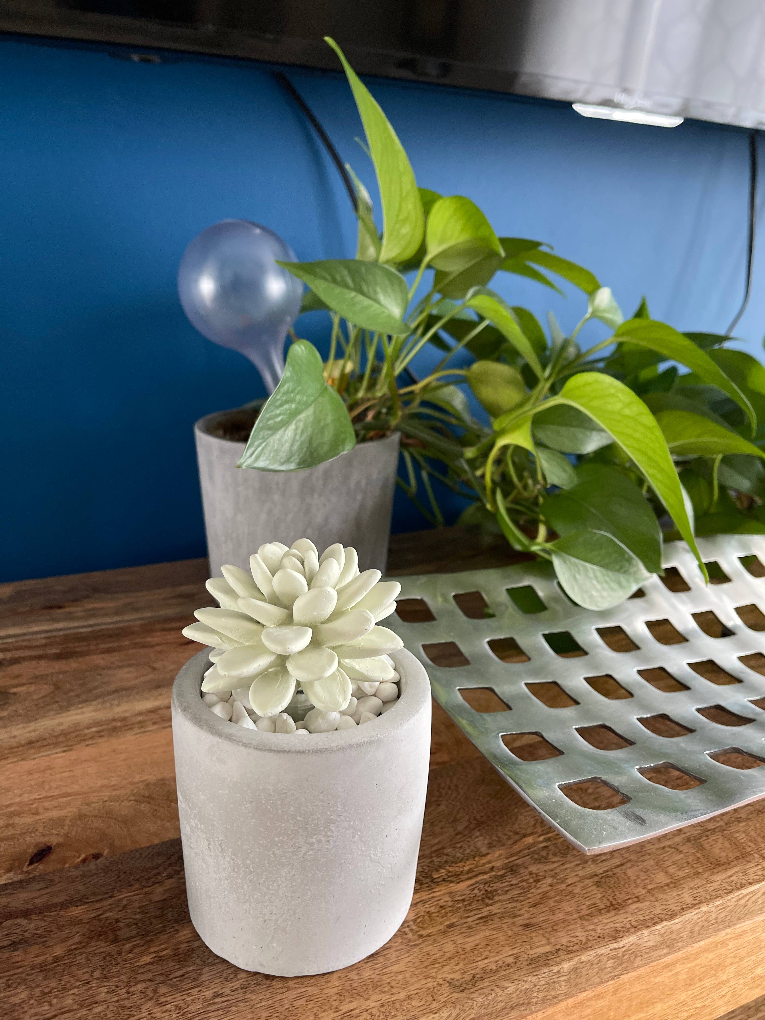 Pretty Valley Home - Wholesale Diffuser Fragrance Refill - Succulent in Planter Diffuser Gift Set for Home Decor8