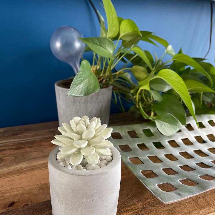 Pretty Valley Home – Großhandel Nachfüllung für Duftzerstäuber – Sukkulent im Pflanzgefäß Diffusor Geschenkset - Citrus Verbena6