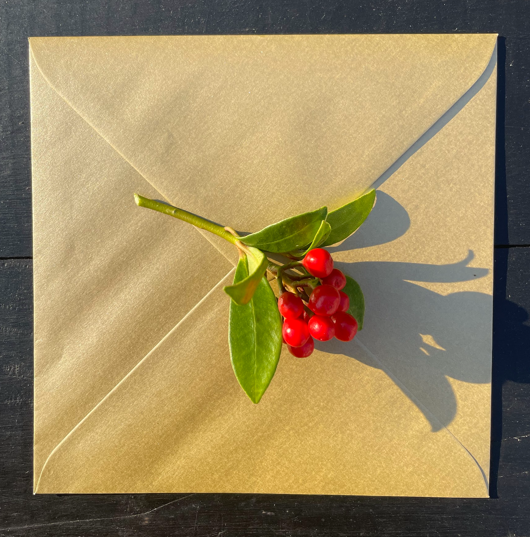 Kate Read Illustration - Wholesale Christmas Card - Blackbird in the Snow Blank Christmas Greetings Card4