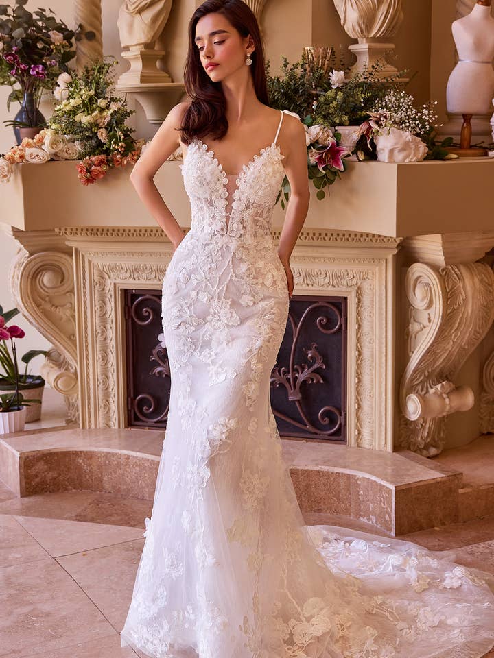 FITTED LACE WEDDING GOWN
for wholesale by Ladivine by Cinderella Divine