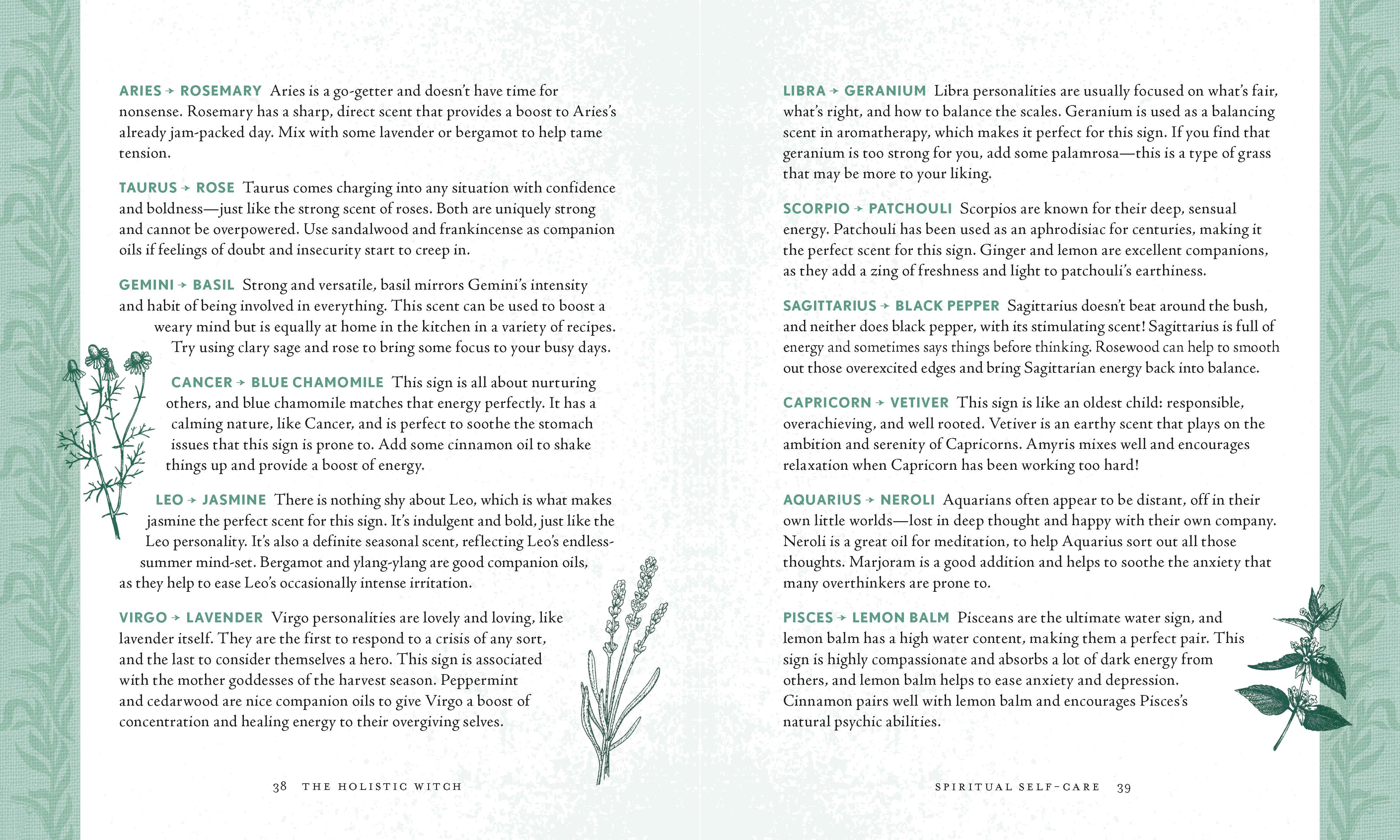 Hachette Book Group - Wholesale Body, Mind & Spirit - Holistic Witch by Leanna Greenaway4