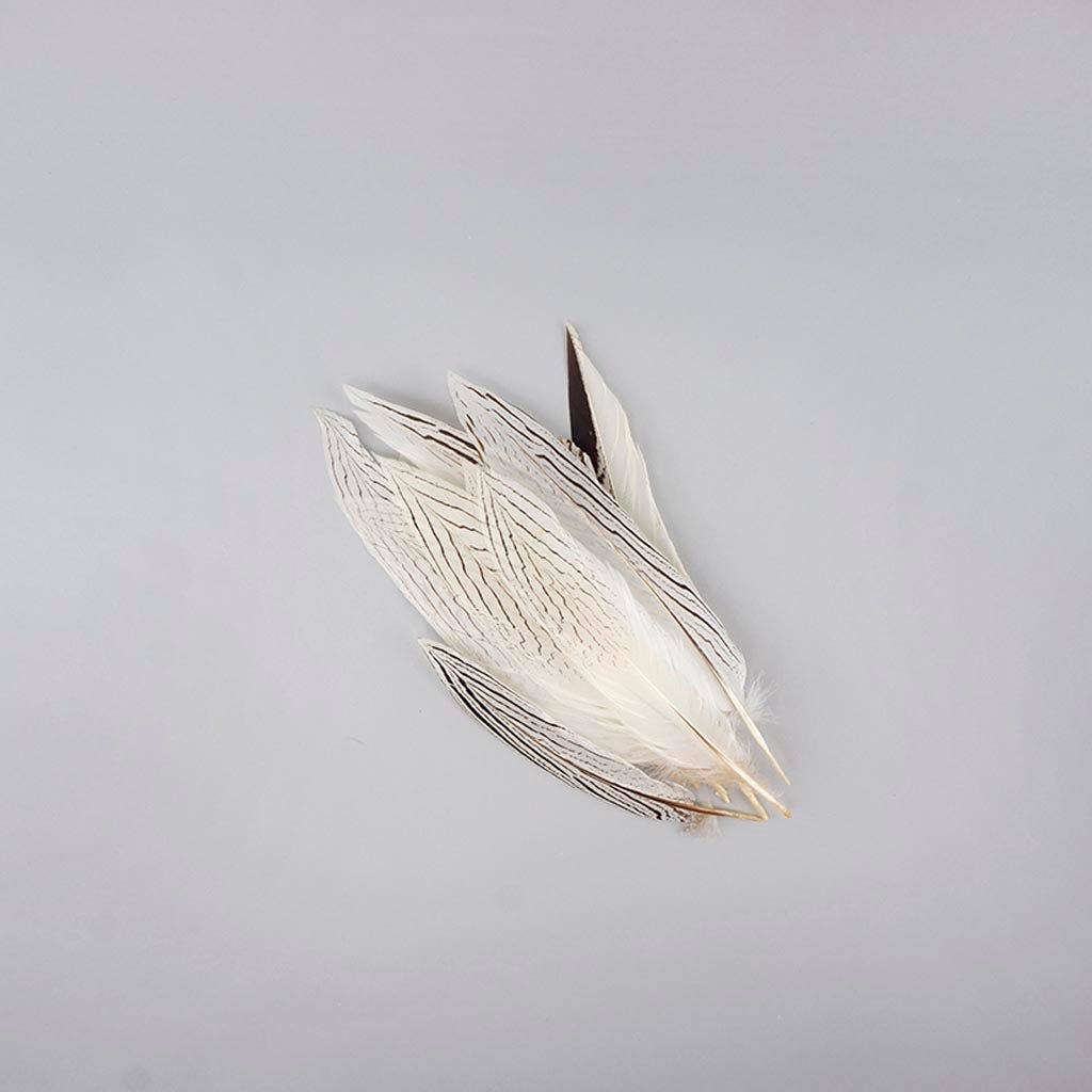 Zucker Feather Products - Vente Plume - Plumes de queue de faisan argentées0