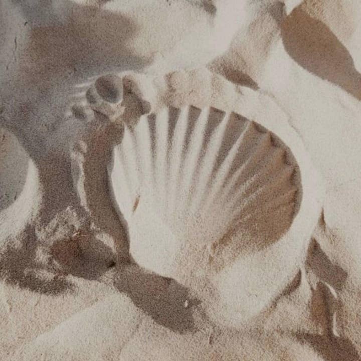 Foamy Wader – Engroshandel Halskæde med vedhæng – Kammusling halskæde - flosset kant shell kurve bar halskæde19