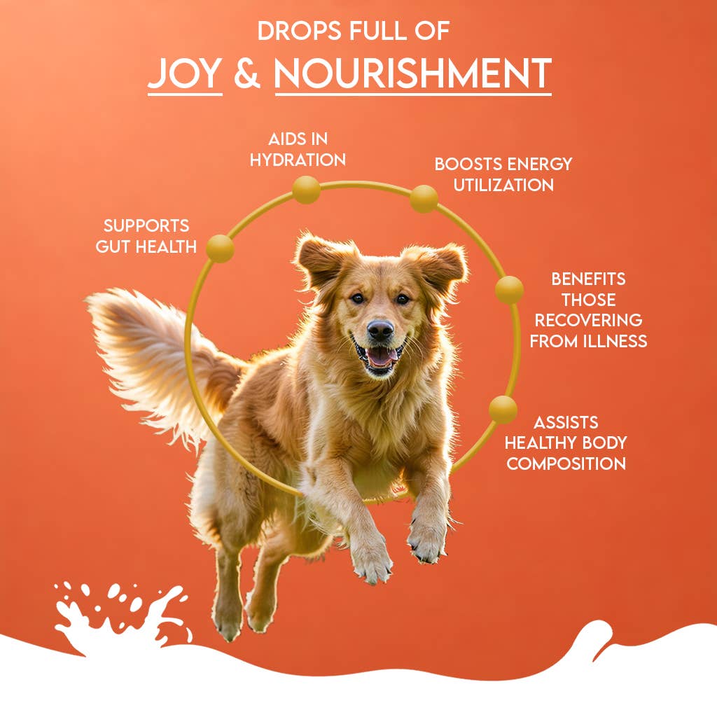 Pawfect Foods – wholesale Pet supplement – Dog – Pawfect Nature's Sip Camel Milk Powder with Papaya, Banana, Broccoli & Flaxseeds| Easily Digestible| Pre & Probiotics| Healthy Topper| Low Glycemic| Hydration Support3