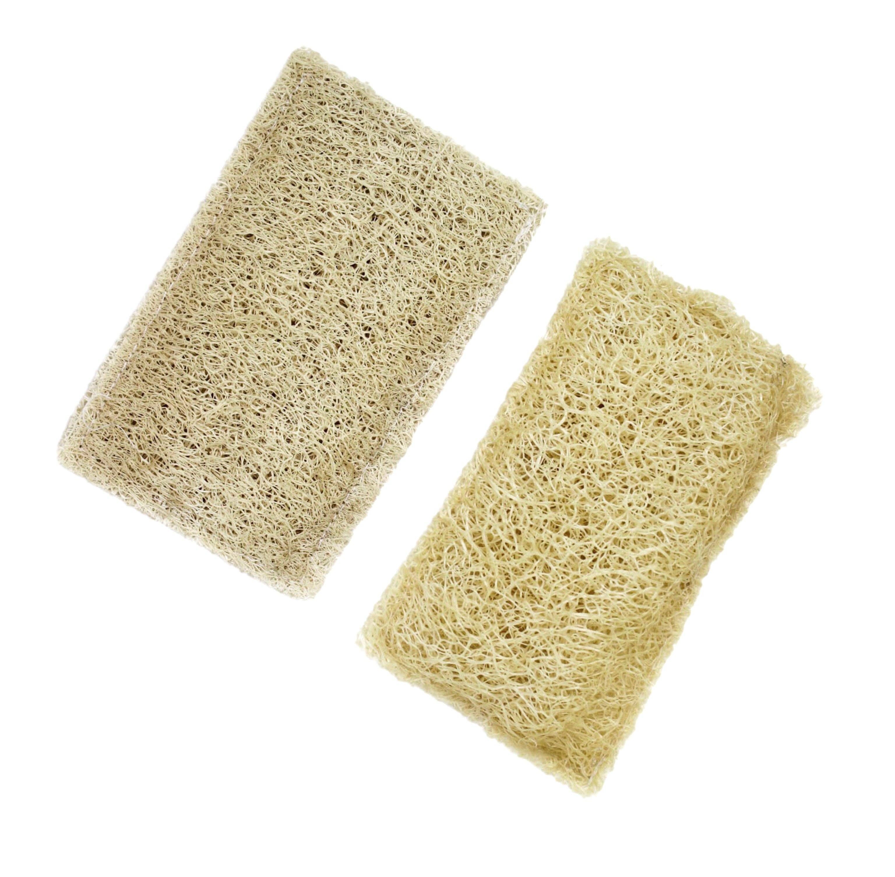 Luna Azul Co - Wholesale Loofah - Loofah Dish Scrubber 2 Pack5