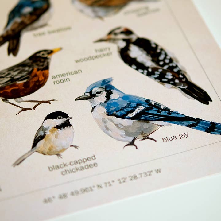 Doro Marcello - Wholesale Art Print - Bird Art Print | 8x10'' | Vintage Botanical Wall Art2