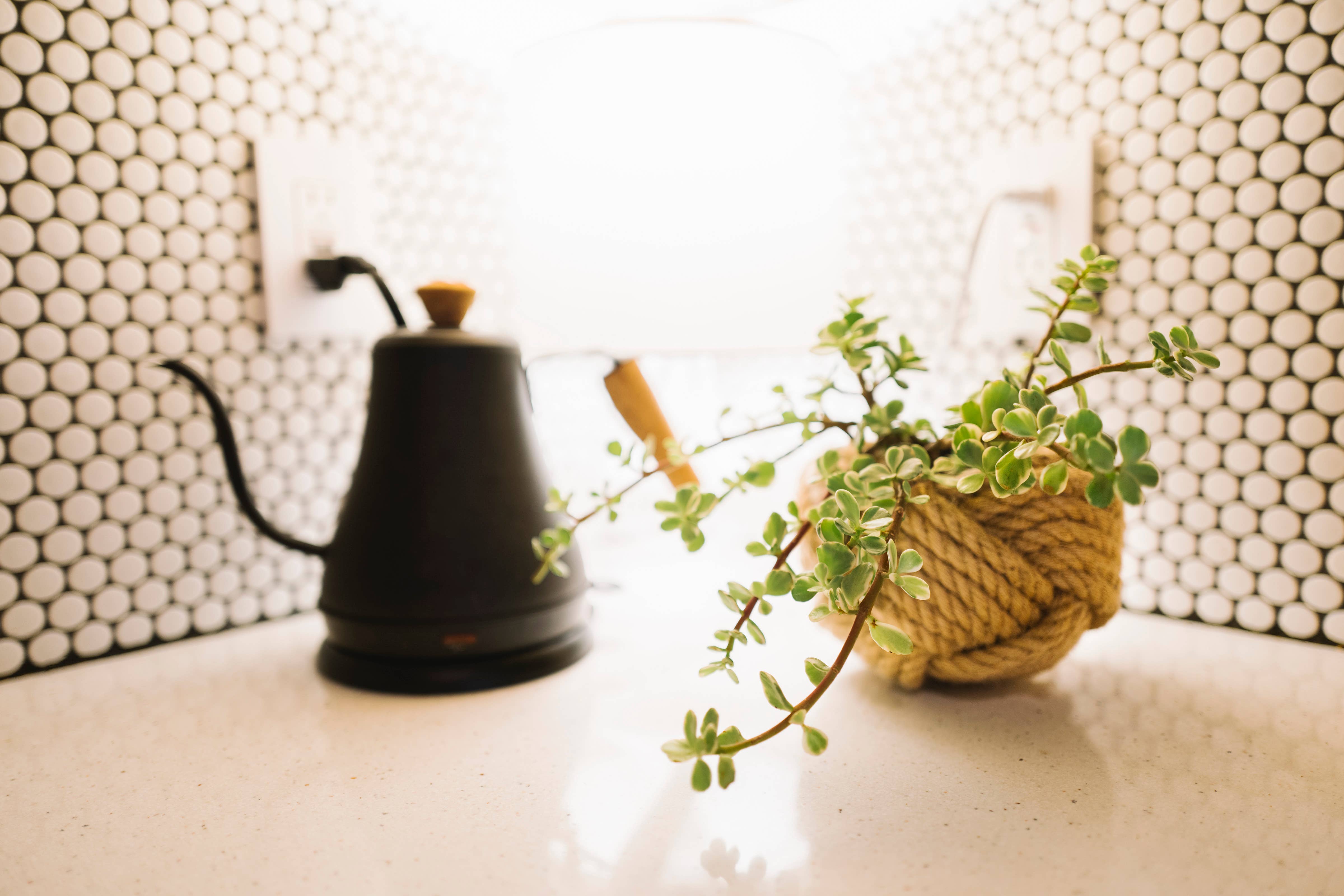 Freeleaf - Wholesale Plant Pot - Unbound Planter3