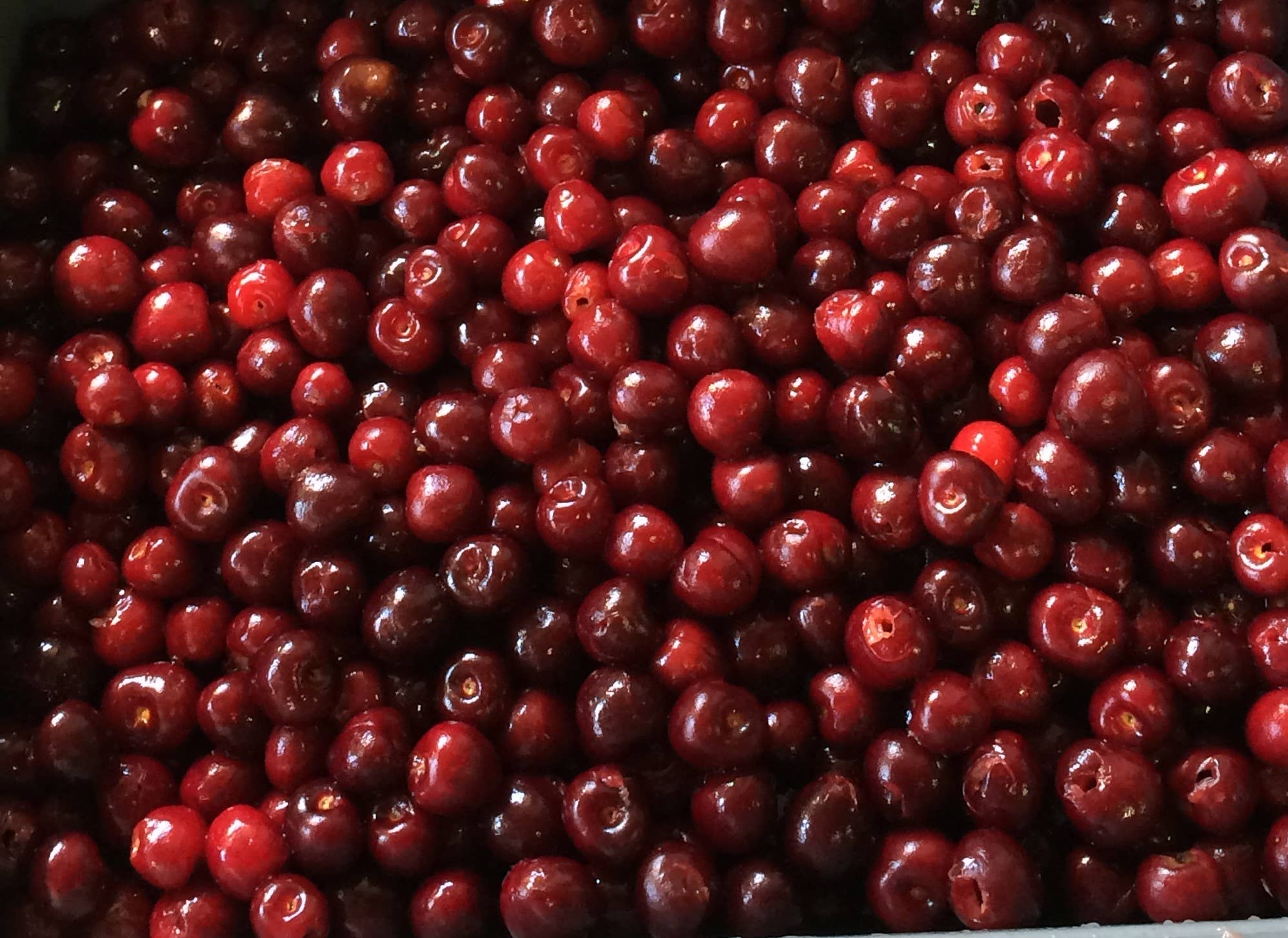 CONSERVES GUINTRAND – Geleia por atacado – Compota de cereja preta PG 580 ml - sem açúcares adicionados2