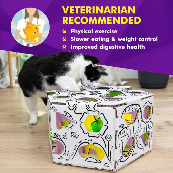 Cat Amazing - Wholesale Pet Toy - Cat - HEX Interactive Cat Toy and Puzzle Feeder5