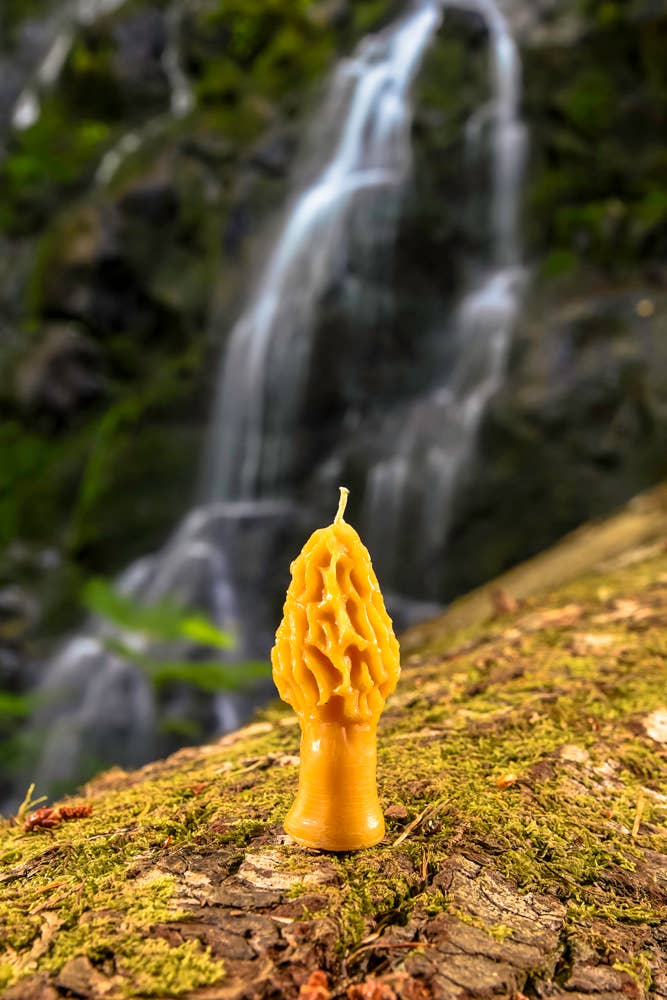 Waxing & Raining Handmade Goods - Vendita all'ingrosso Candele regalo - Candele a forma di fungo morchelle in pura cera d’api | Candela non tossica1