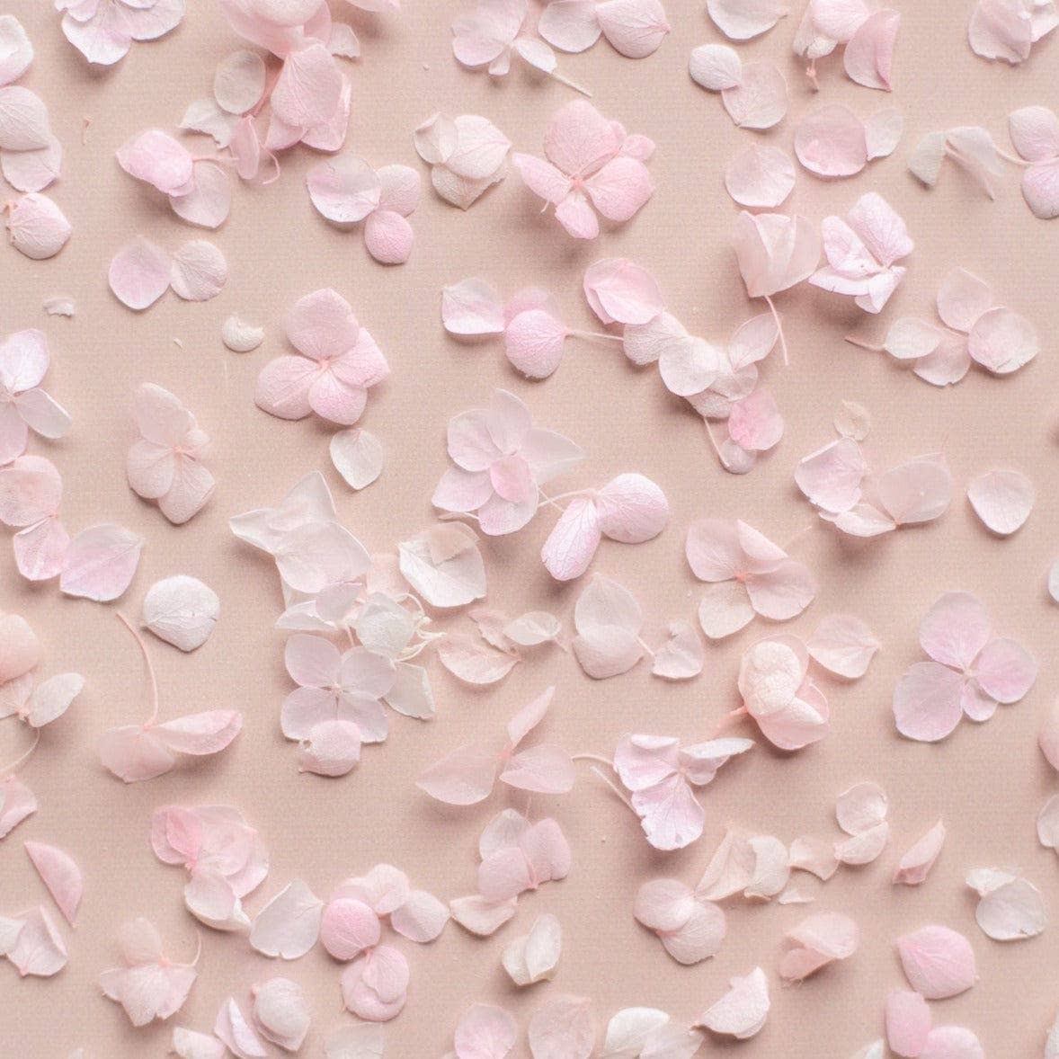 The Whole Bride – wholesale Konfetti – Hortensiabladbuntar (kronblad + kottar)15