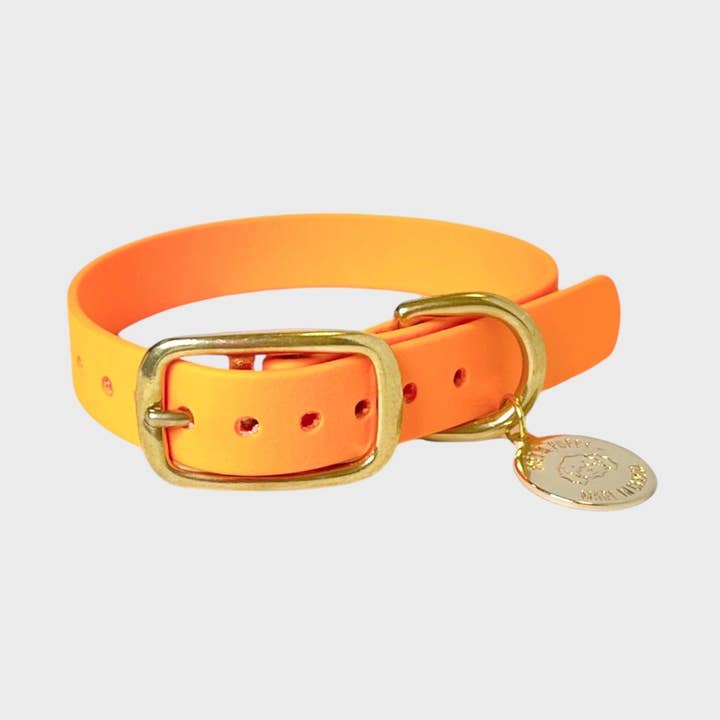 Clementine - Originele halsband voor wholesale door PRÊT-À-PUPPY