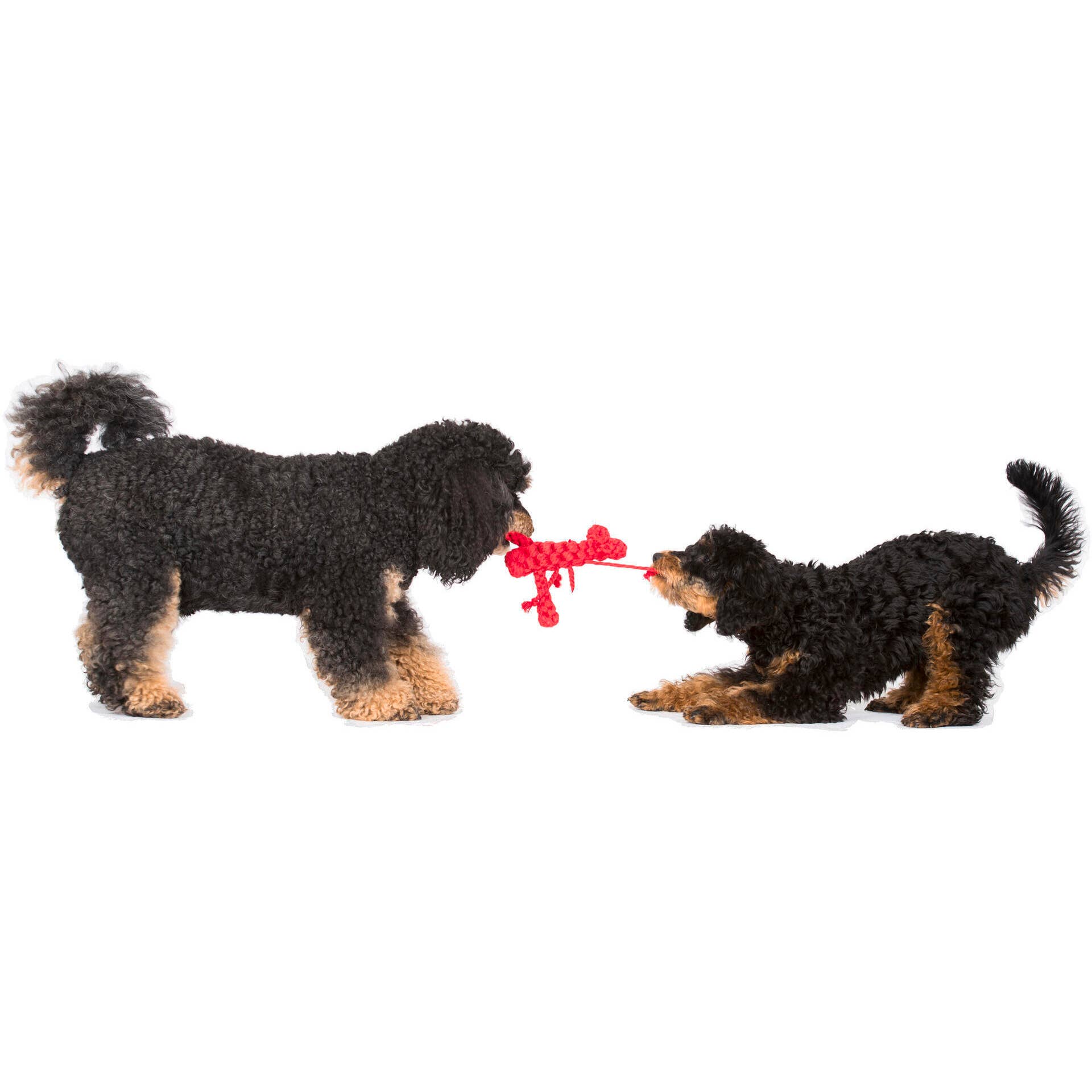 LABONI - Volentis GmbH - Vendita all'ingrosso Giocattolo di corda - Cani - Hugo Hummer13