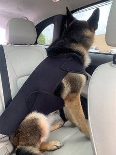 Healers PetCare - Wholesale Pet Coat - Dog - Healers Therapeutic & Anxiety Front Body Wrap13