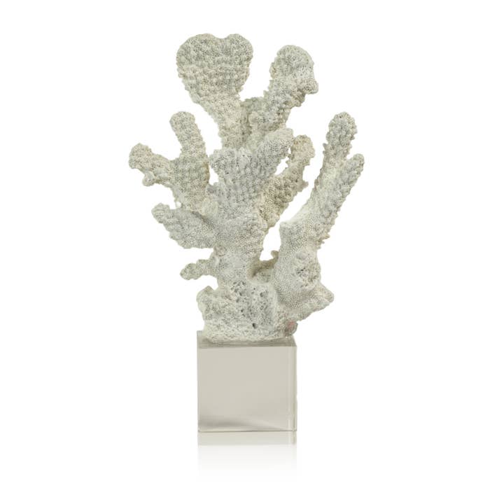 Zodax - Wholesale Decorative Tabletop Object - White Coral on Acrylic Base