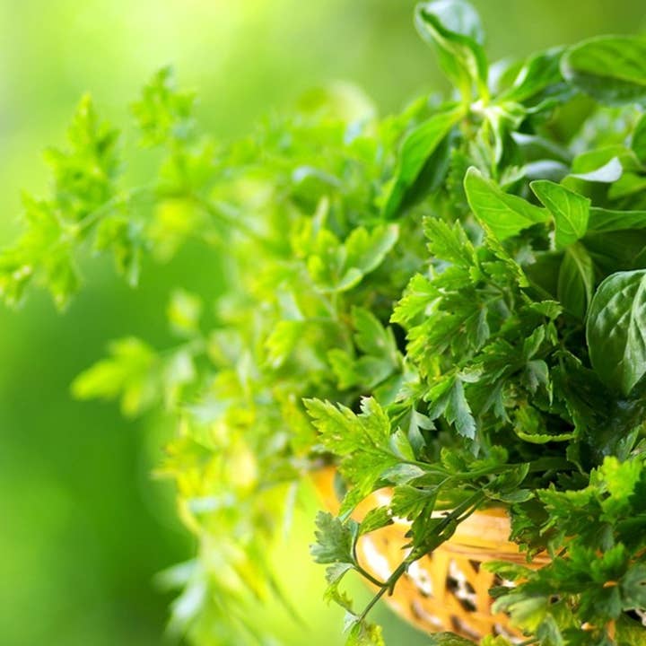 The Southern Flame - Wholesale Jar/filled candle - Patchouli1