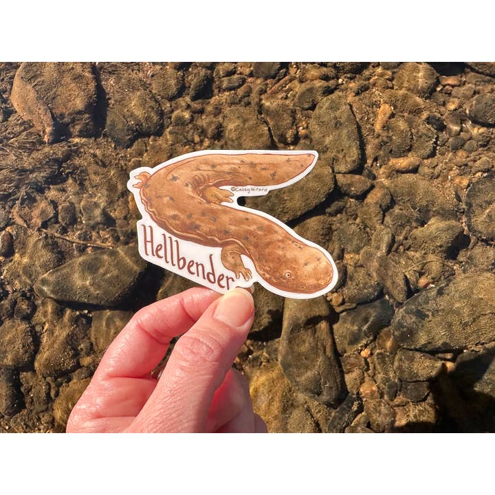 Autocollant en vinyle - Hellbender pour la vente par River Thrush Studio