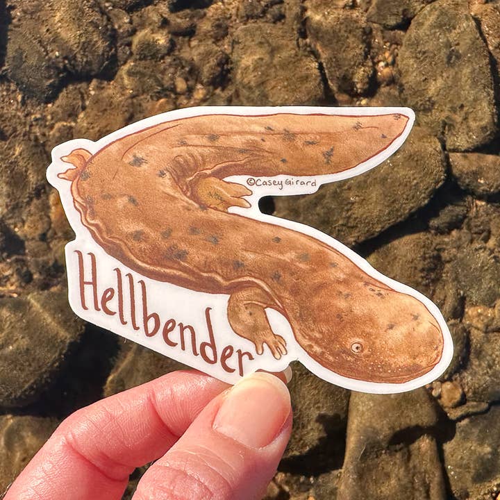 Hellbender - Vinyl Sticker for wholesale by River Thrush Studio