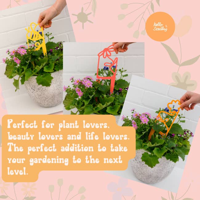 Hello Seedling - Wholesale Garden/lawn stake - Honey Bee Flower & Plant Garden Stake1