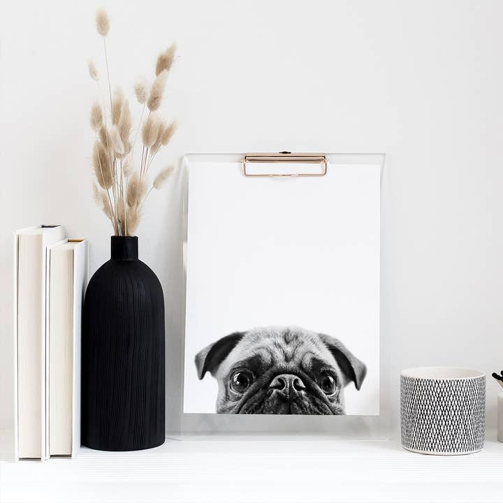 Pug 1 Unframed Peeking Print for wholesale by Perkie Prints