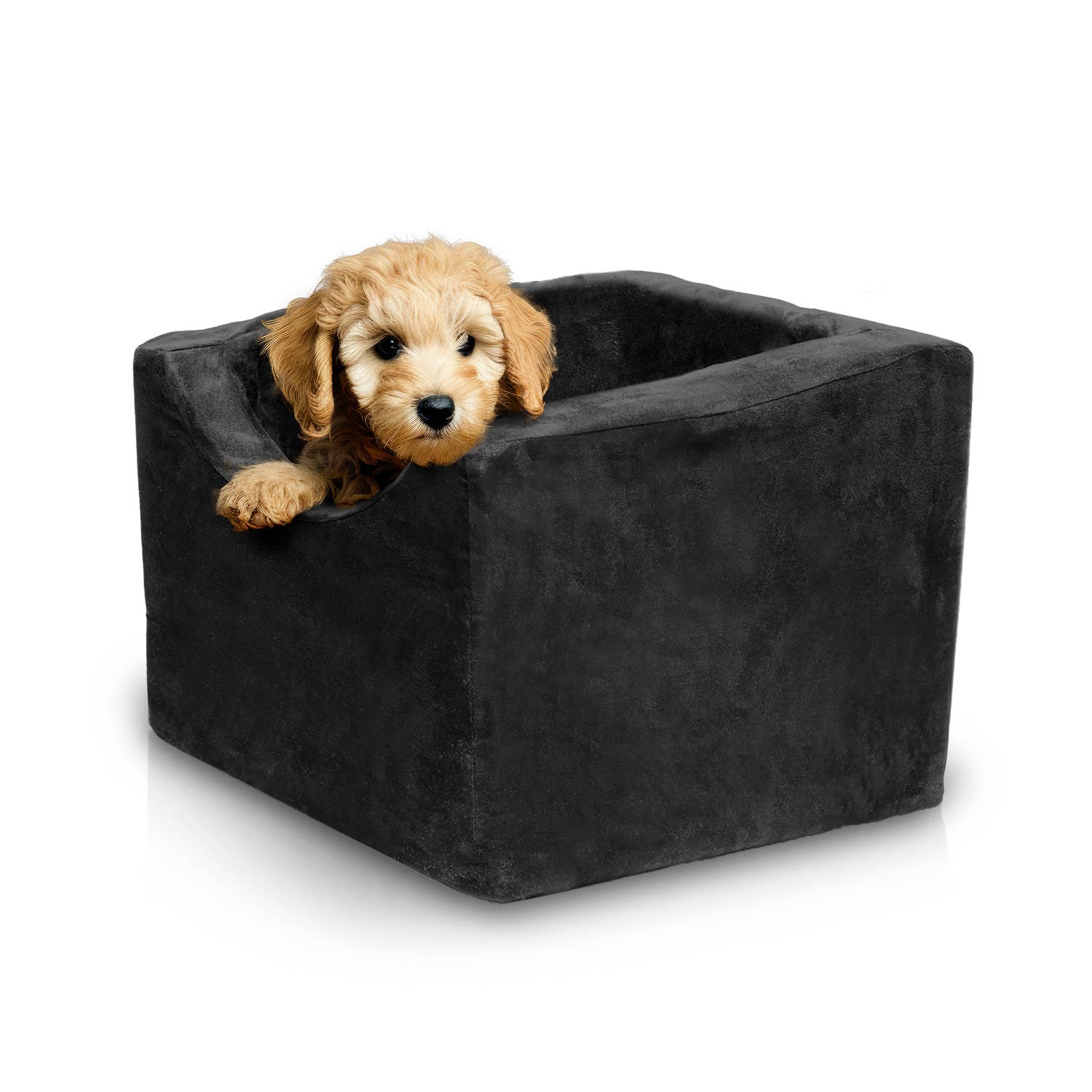 Precious Tails - Wholesale Pet Carrier - Cat/Dog - Precious Tails High Density Foam Pet Booster Seat66